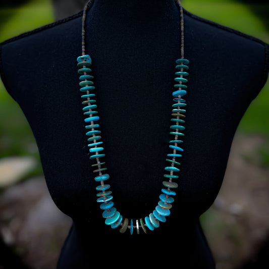 30” Graduated Turquoise Disk Necklace