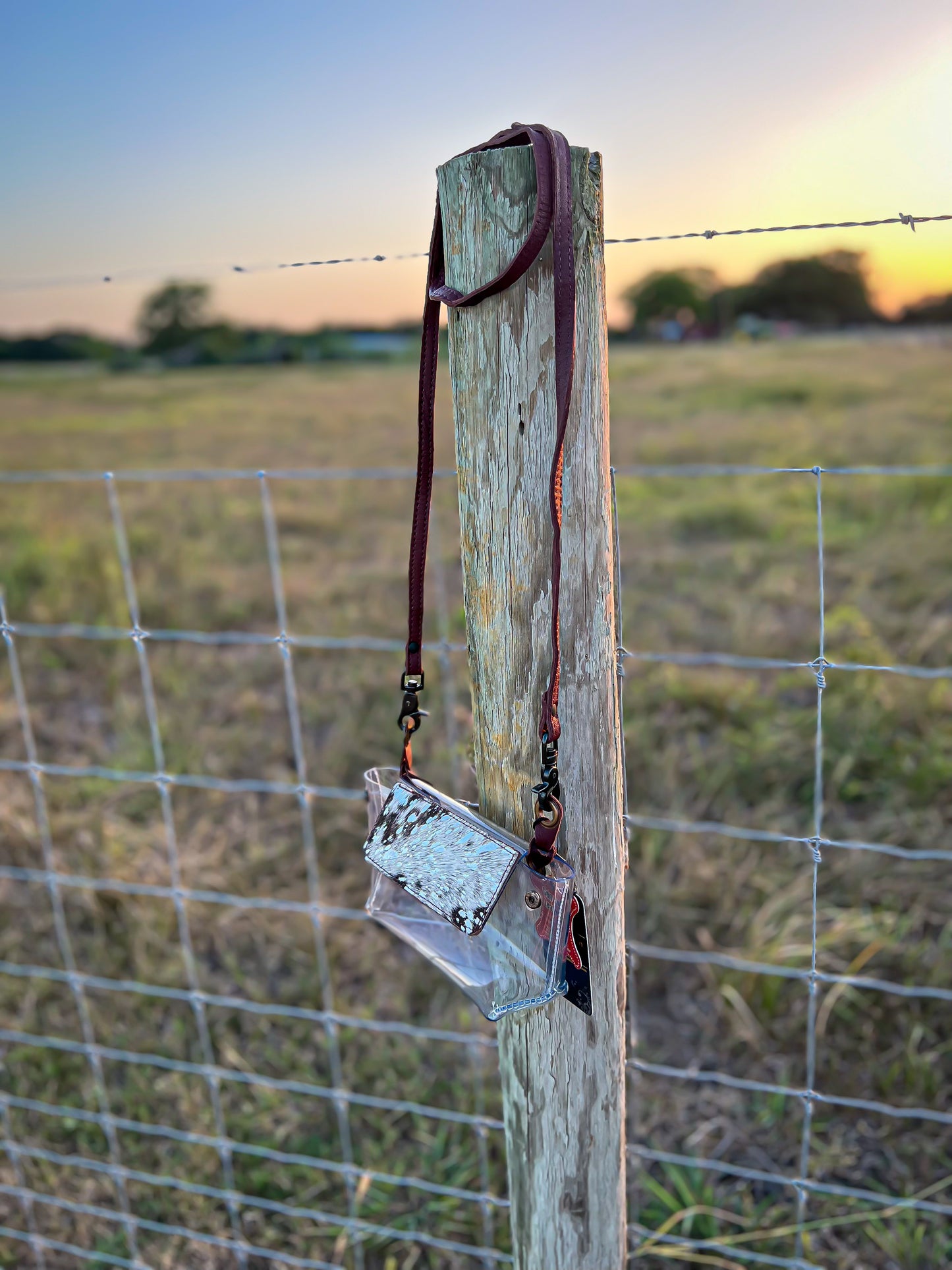 Cyndi Clear Crossbody Purse