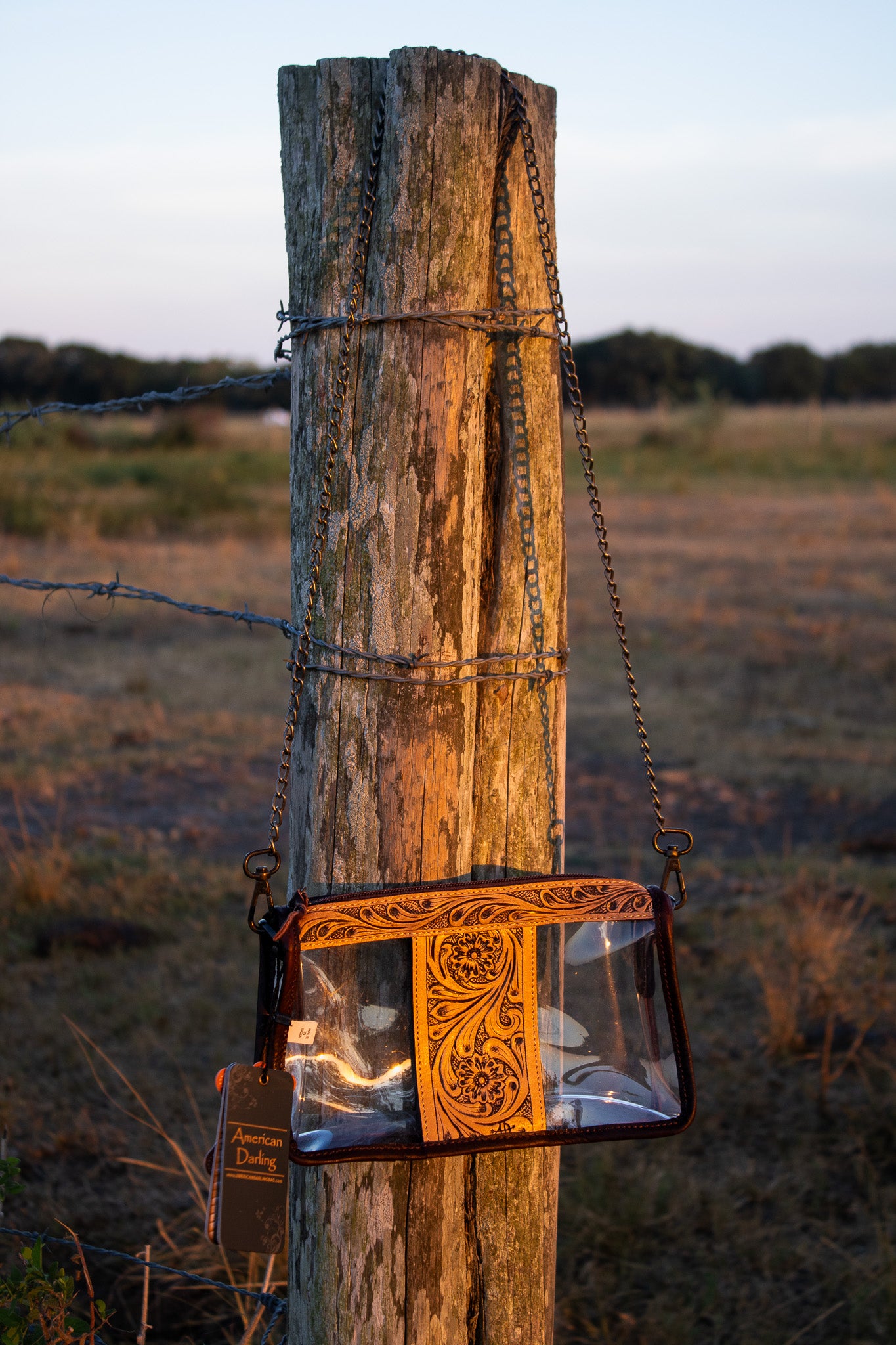 The Annie Clear Crossbody