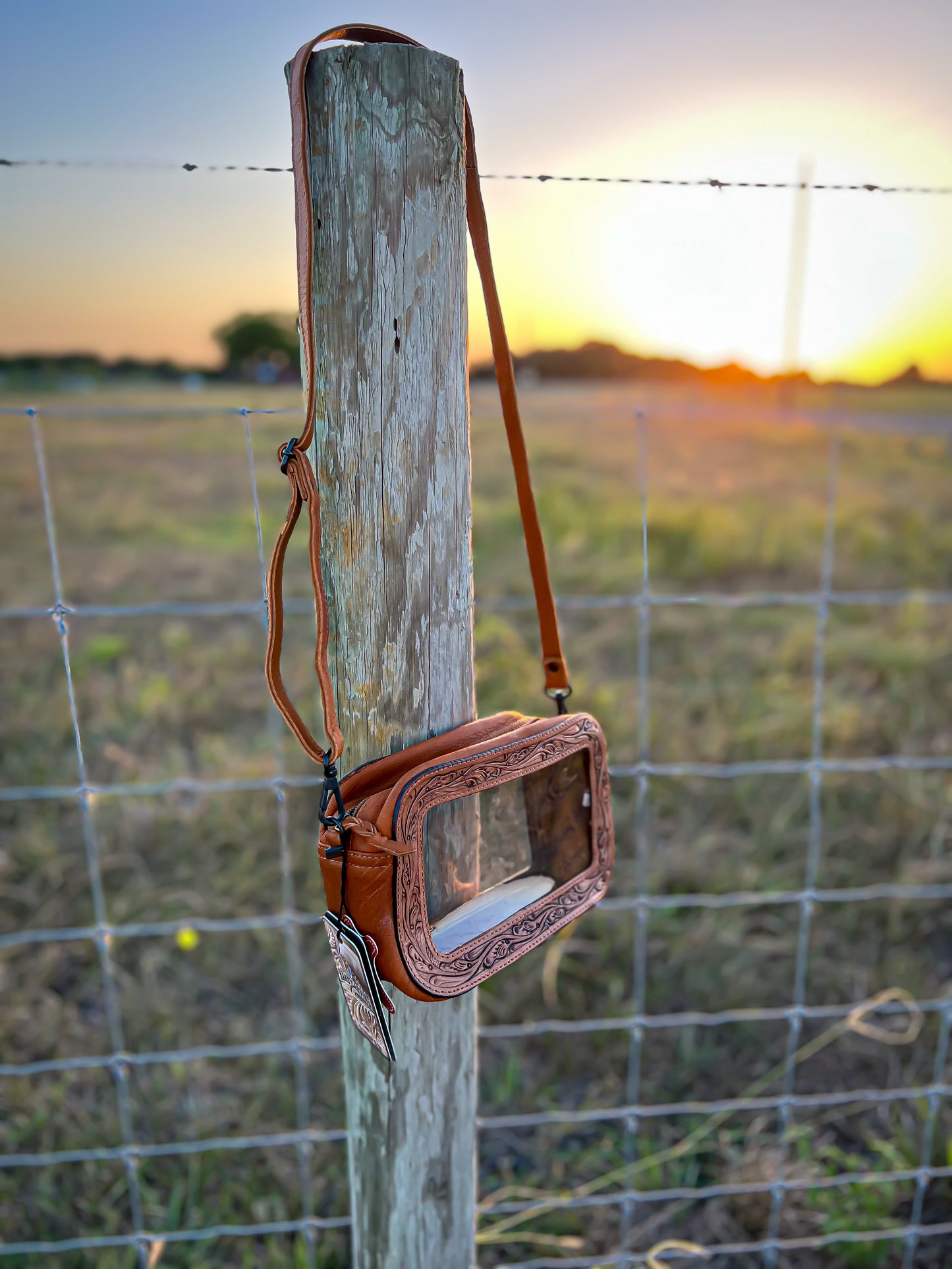 Chesnutt Clear Crossbody Purse