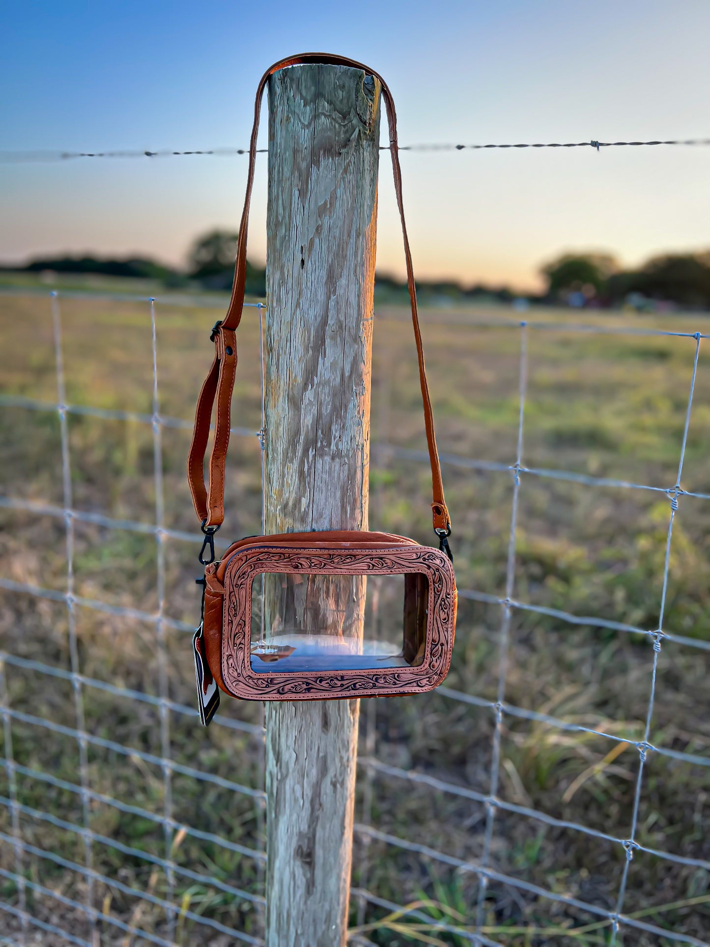 Chesnutt Clear Crossbody Purse